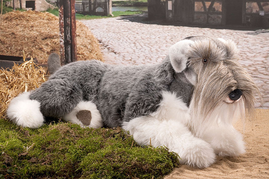 toy miniature schnauzer