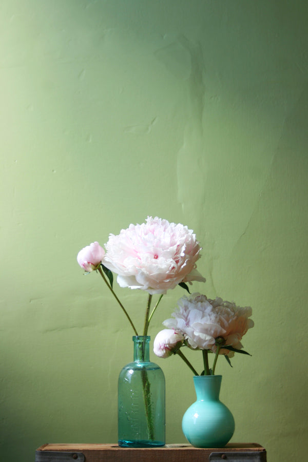 An Ode To Peonies – Wise Apple Vintage