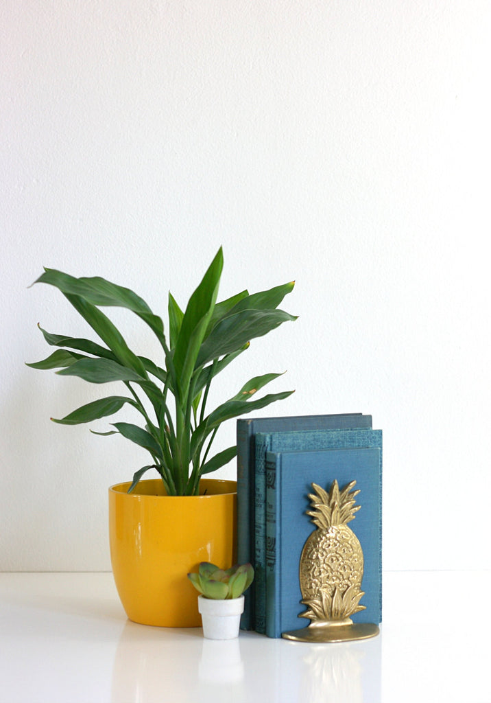 brass pineapple bookends