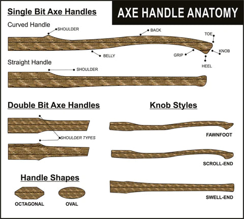 Axe handle anatomy