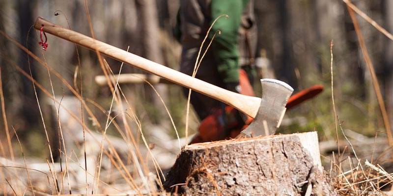 Forester's Friend Axe by Brant & Cochran