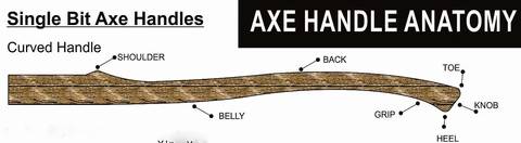 Axe Handle Anatomy