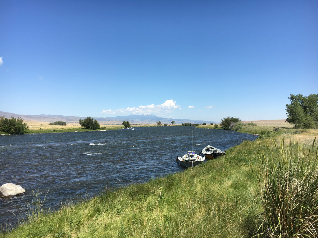 Madison River | Fly Fishing | Guide Trips | Ennis Montana – Montana ...
