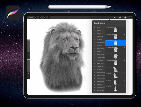Real Lion Reference Image Asset Library for Procreate on the iPad from Tattoo Smart - High Quality Lion Reference Images for Tattoo Designs