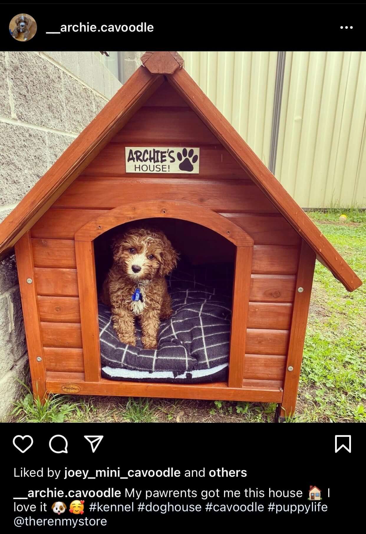 what is a dogs kennel name