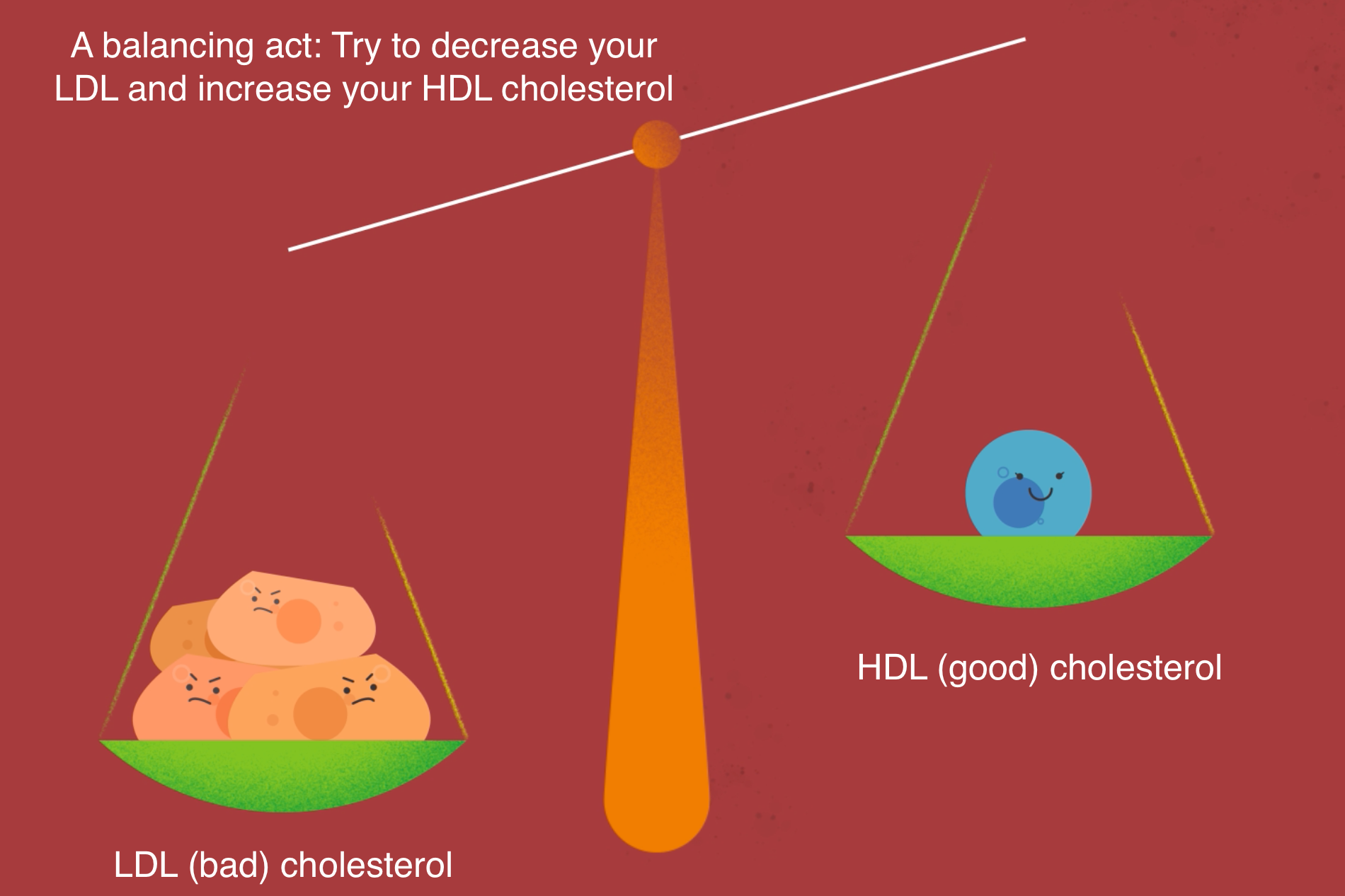 Balance between LDL and HDL cholesterol