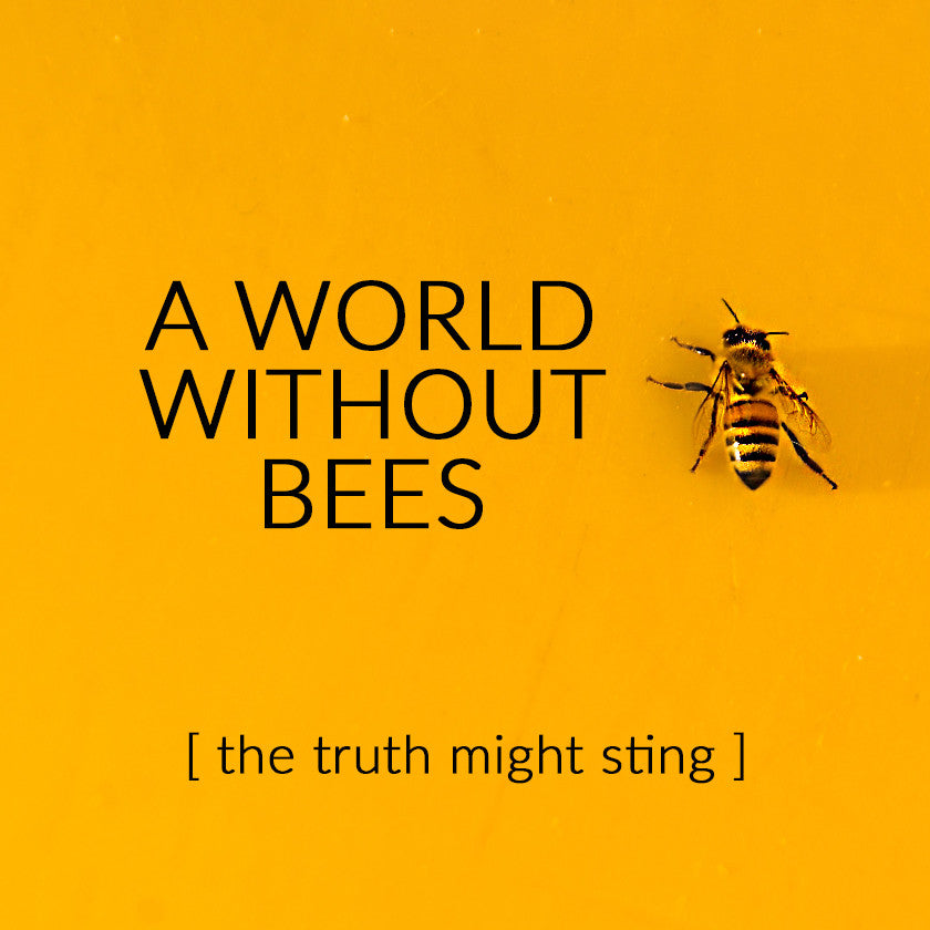 Image result for a world without bees