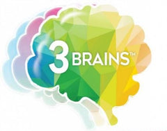 3 Brains 