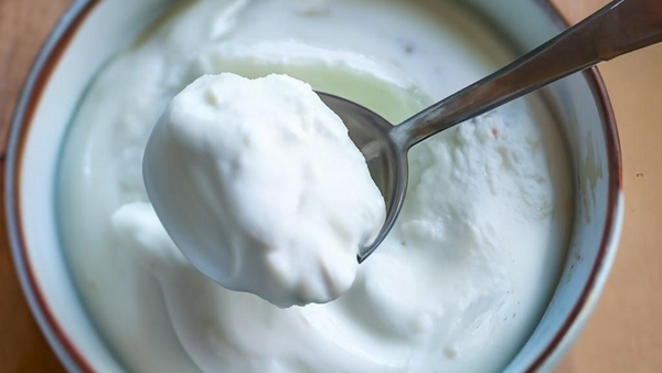 Bowl of raw yogurt