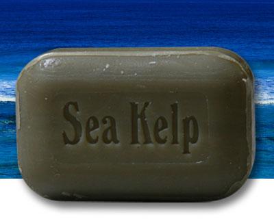 sea kelp soap