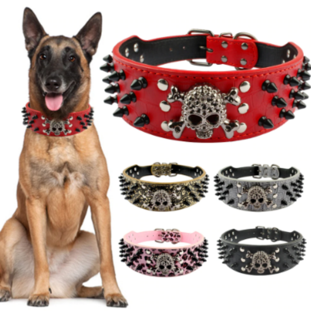 skull dog collars