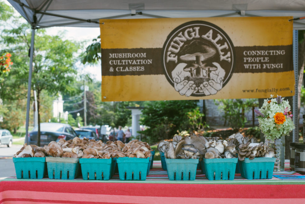 growing mushrooms & selling the harvest.