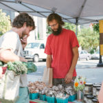 growing mushrooms with Willie