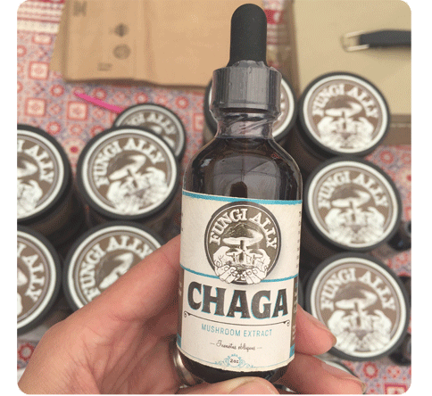 fungi-ally-mushroom-tincture-chaga