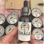 chaga tincture