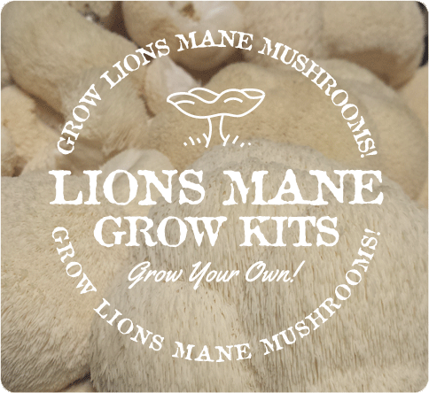 Lions-Mane-Mushroom-Grow-Kits