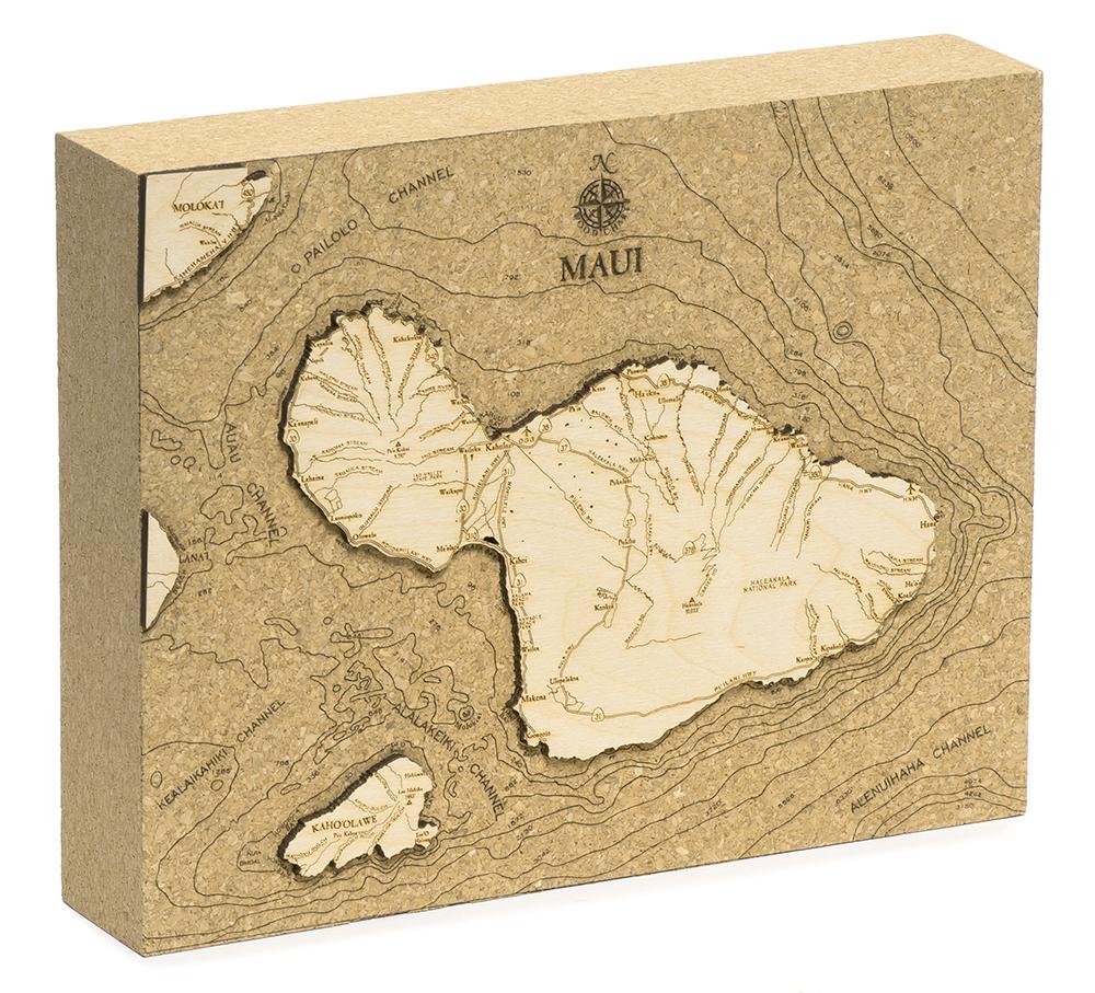 Maui cork board