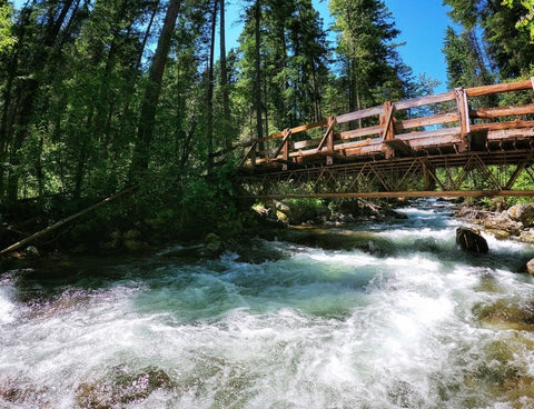 Creek with bridge going over and trees on both sides