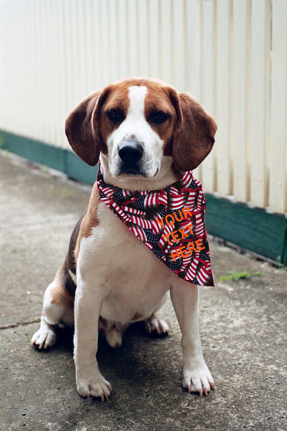 american dog bandana