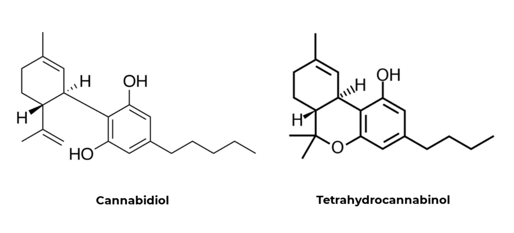 Cannabidiol and Tetrahydrocannabinol chemical formula