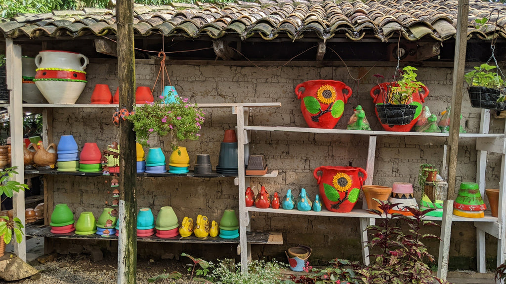 Color ceramic pots and plants