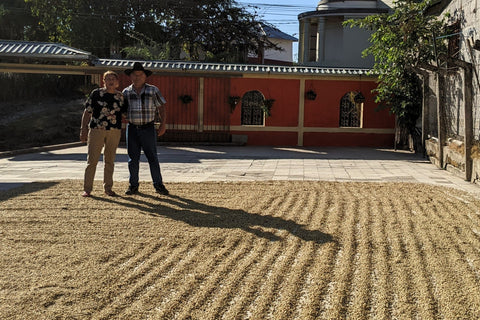 Coffee drying in the sun on a patio