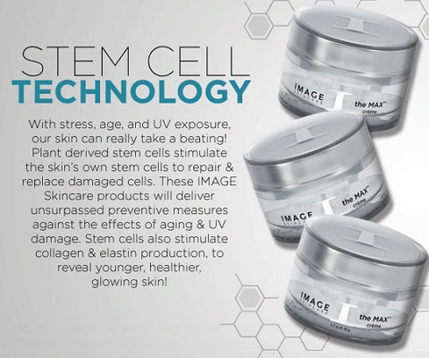 stem cell technologies