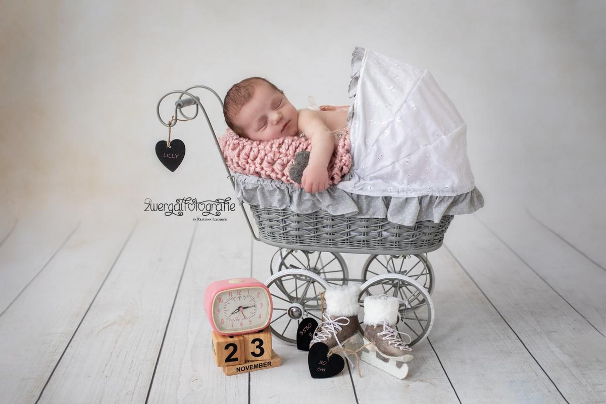 newborn carriage