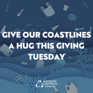 Sustainable Coastlines Support Image - Giving Tuesday