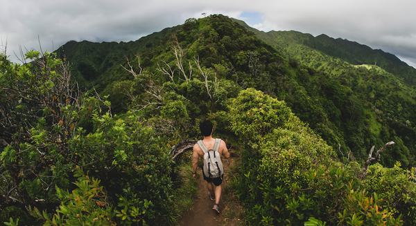 Hawai'i Wa'ahila Ridge Hiking Trail