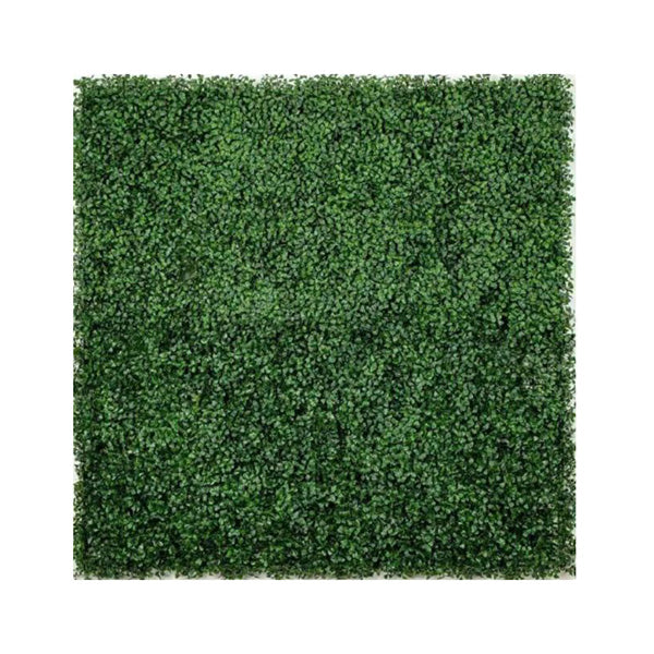100Cm X 100Cm Boxwood Hedge Screen Green Wall Panel Uv Resistant