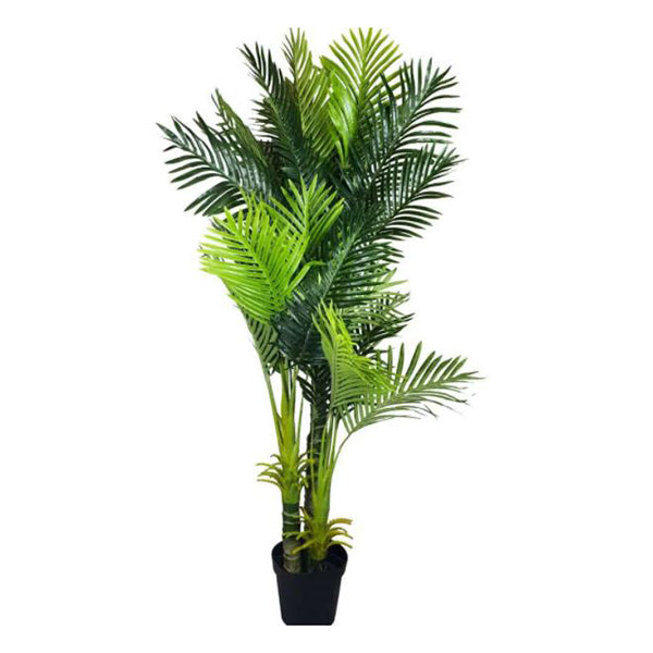 180Cm Multi Trunk Hawaii Palm