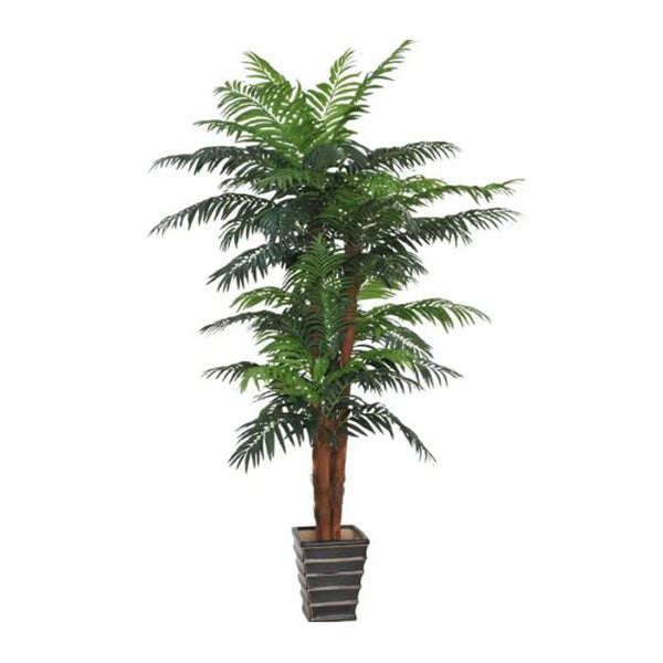 300Cm Large Tropical Palm Tree