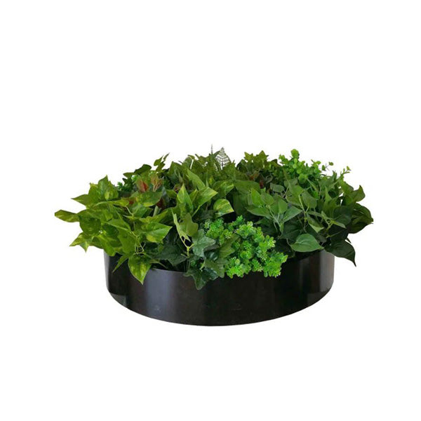 60Cm Artificial Green Wall Disc Art Mixed Fern And Ivy Onyx Black