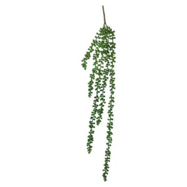 75Cm Hanging Succulent String Of Pearl Beads