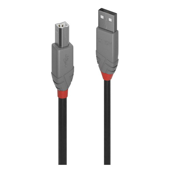 Lindy Usb 2 A To B Cable Al