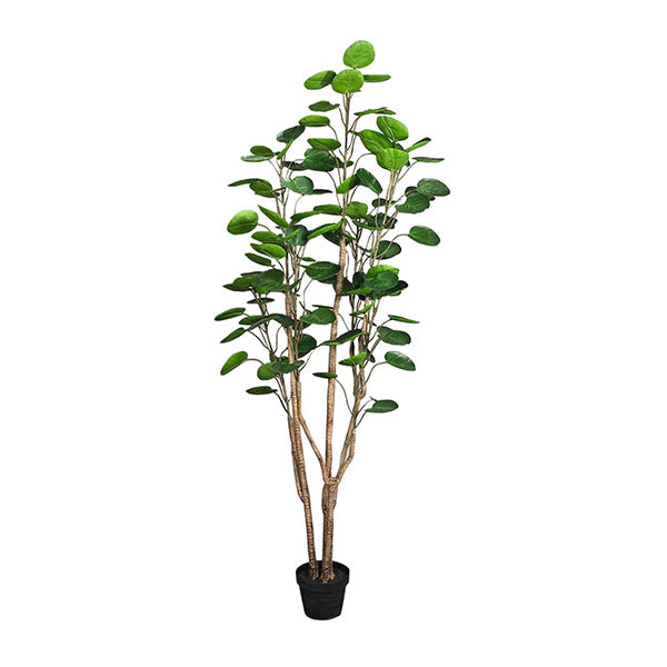 180Cm Green Artificial Indoor Pocket Money Tree