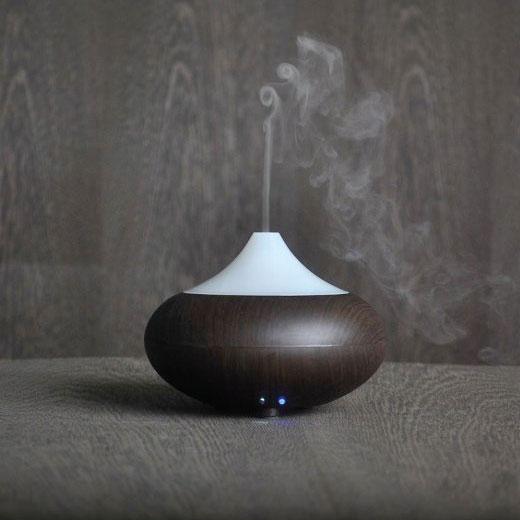 160Ml Essential Oil Aroma Oils Diffuser Electric Humidifier