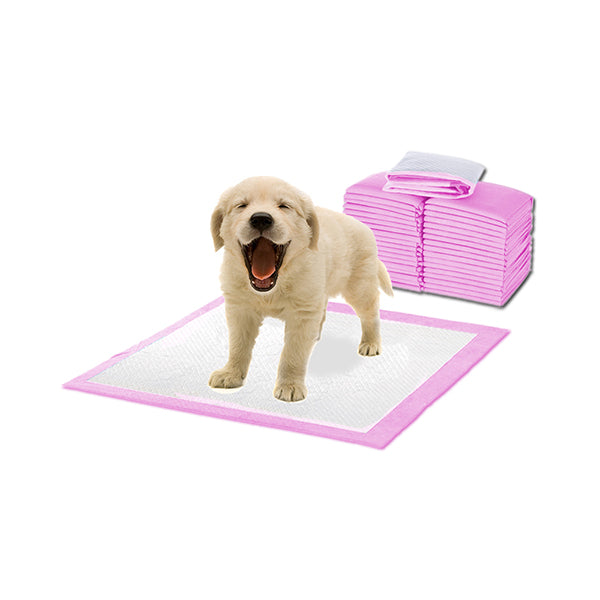 Pawz 100 Pcs 60X60Cm Puppy Pet Indoor Toilet Training Pads