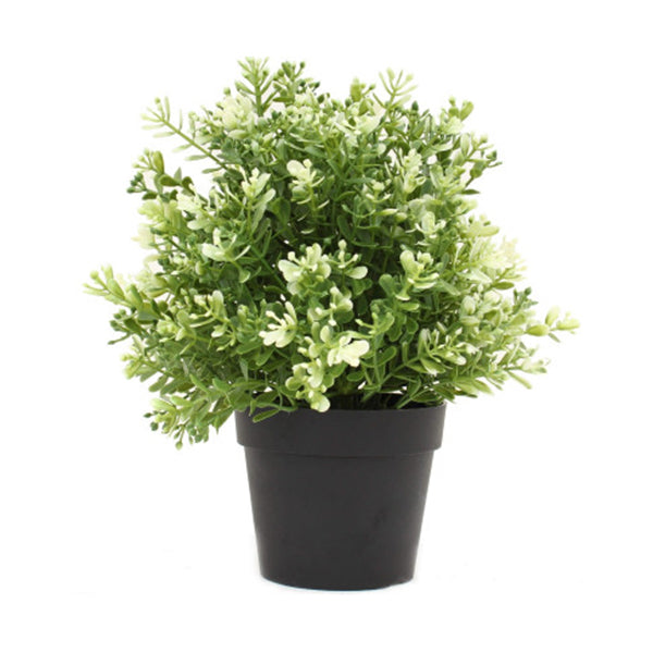 Small Potted Artificial White Jade Plant Uv Resistant 20Cm