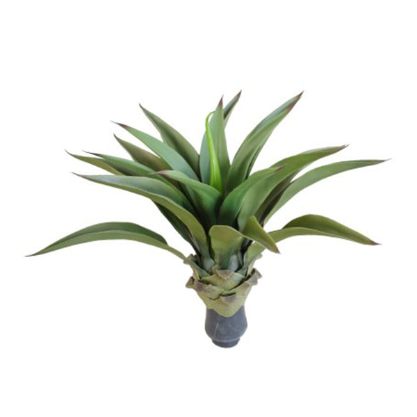 Uv Agave 50 Cm No Pot