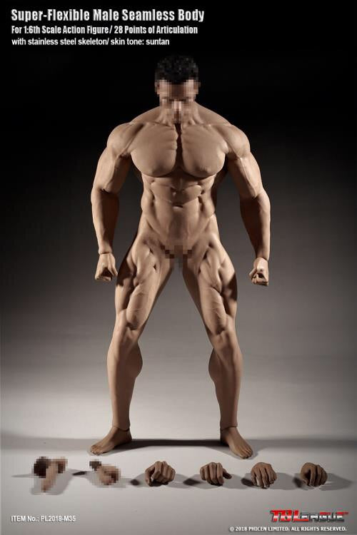 1 6 scale seamless male body