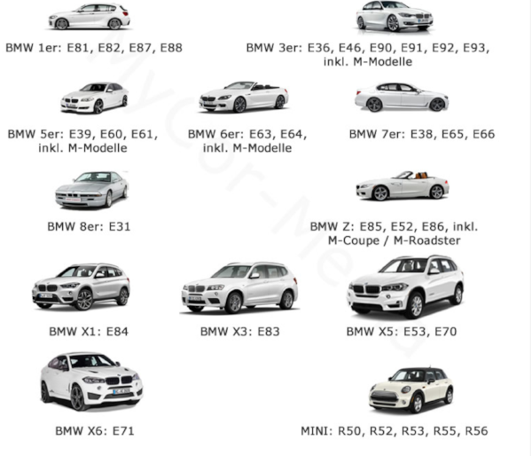 bmw diagnose software