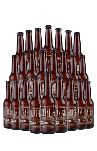 24 Pack Bocanegra Pilsner ¡Promoción! | Beerhouse.mx