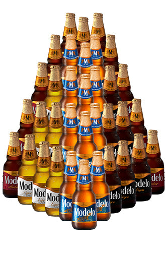 Modelo Mix 48 Beerpack ¡Envío gratis! | Beerhouse.mx