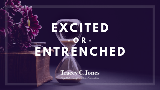 Art Of Tremendous Blog Tracey C Jones Tremendous Leadership - 