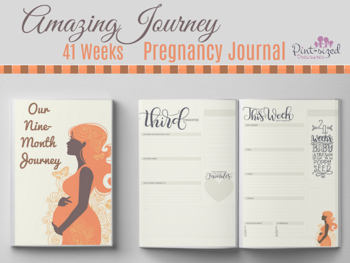 41 Week Amazing Journey Printable Pregnancy Journal Pintsized Treasures