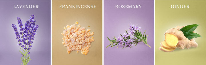 Lavender, Frankincense, Rosemary, Ginger 