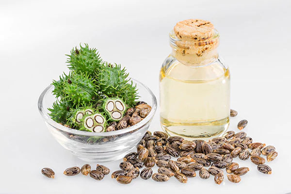 Organic castor oil 