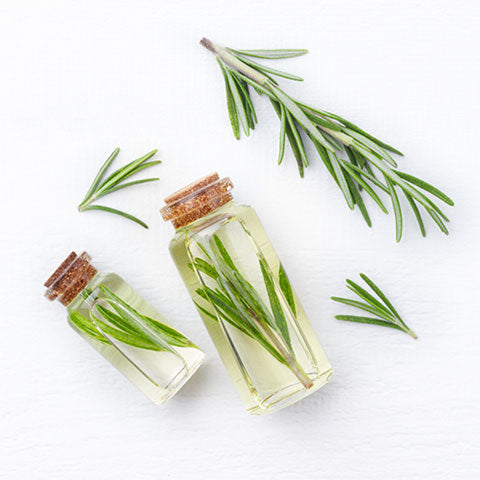 Rosemary essential Oil